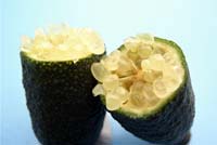 fingerlime