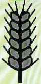New Crops