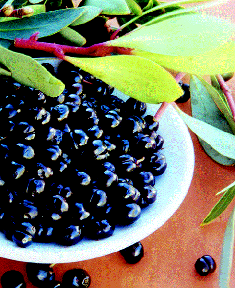 pepper