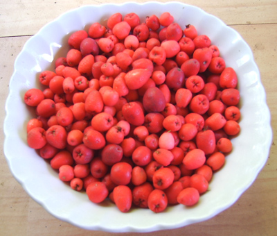 riberry